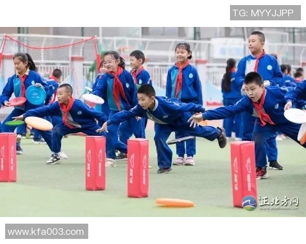 张娜独家分享飞盘技巧与心得体会助你轻松掌握这项运动的乐趣与魅力