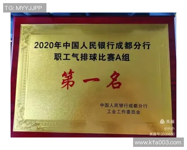 成都排球队的转型之路：从传统到现代的全面革新探索