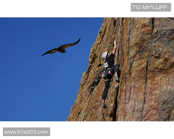 重庆排球队耐力问题引发热议球迷与专家各执己见探讨背后原因
